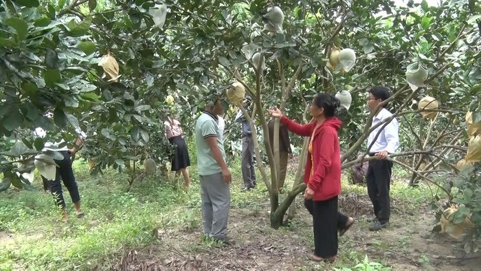 Hiệu quả nguồn vốn tín dụng chính sách  ủy thác thông qua Hội Phụ nữ xã Thư Vũ