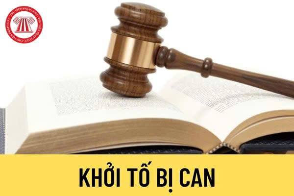 Khởi tố bị can Đặng Thị Huệ về hành vi làm, tàng trữ, phát tán hoặc tuyên truyền thông tin, tài liệu nhằm chống Nhà nước Cộng hoà xã hội chủ nghĩa Việt Nam