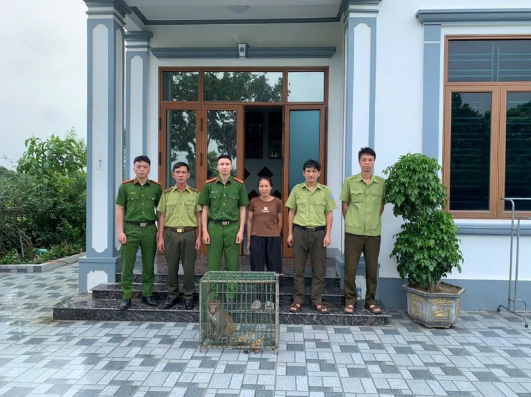 Công an xã Thư Vũ vận động người dân giao nộp 1 cá thể khỉ quý hiếm đi lạc vào nhà dân