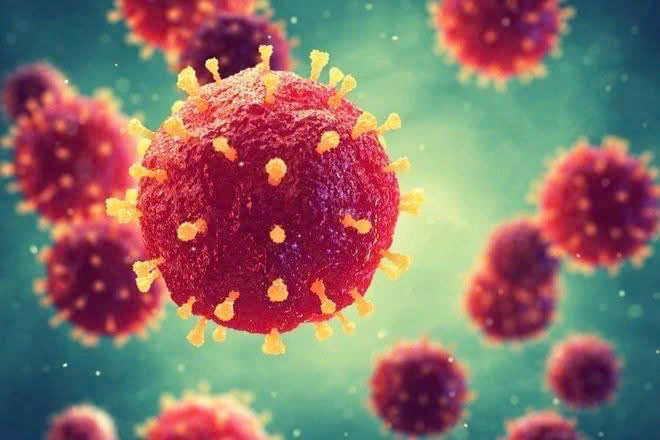 PHÒNG CHỐNG DỊCH BỆNH DO VIRUS NIPAH