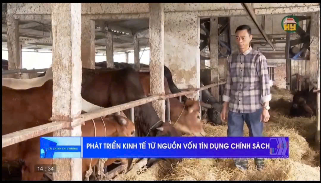 Ngân hàng chính sách xã hội hỗ trợ phát triển kinh tế địa phương